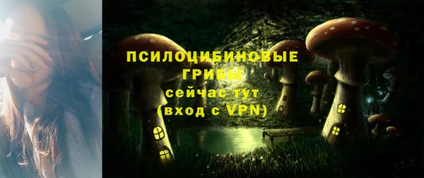 бошки Осинники