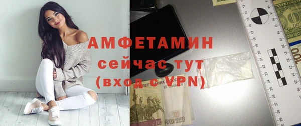 шишки Осташков