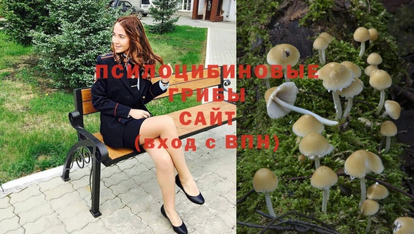шишки Осташков