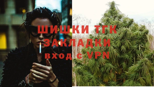 бошки Осинники