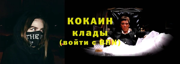 бошки Осинники
