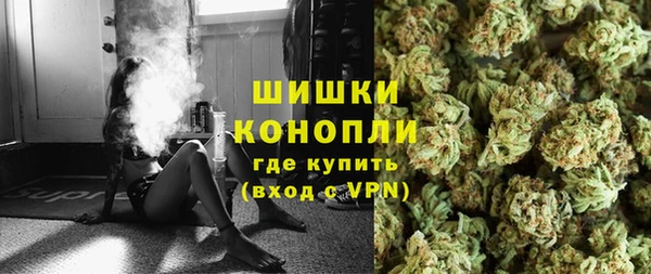 шишки Осташков