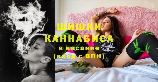 бошки Осинники