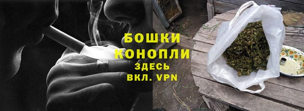 шишки Осташков