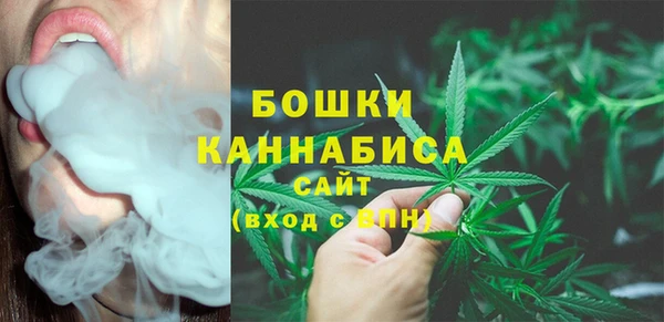 шишки Осташков
