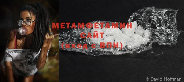 шишки Осташков
