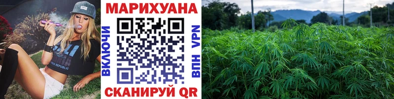 Купить где  Ивантеевка  Бошки марихуана OG Kush 
